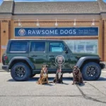 Rawsome Dogs Sarnia/ Grooming